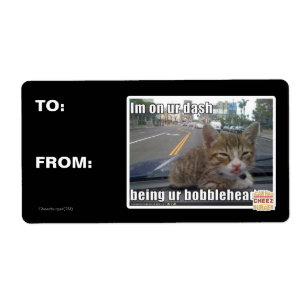 Im on ur dash
