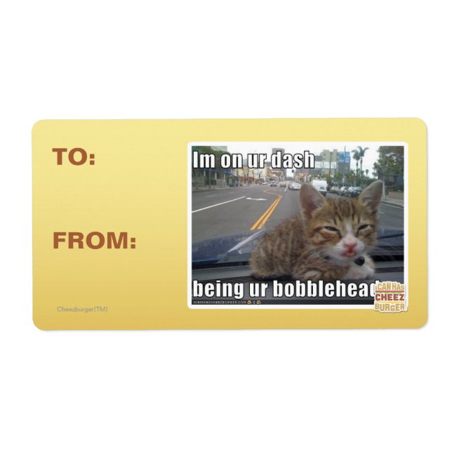 Im on ur dash (Front)
