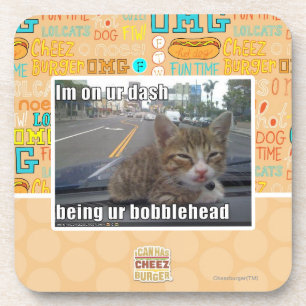 Im on ur dash coaster