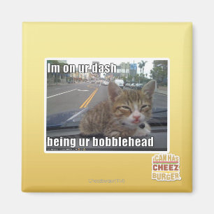 Im on ur dash magnet