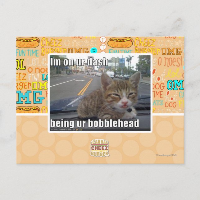 Im on ur dash postcard (Front)