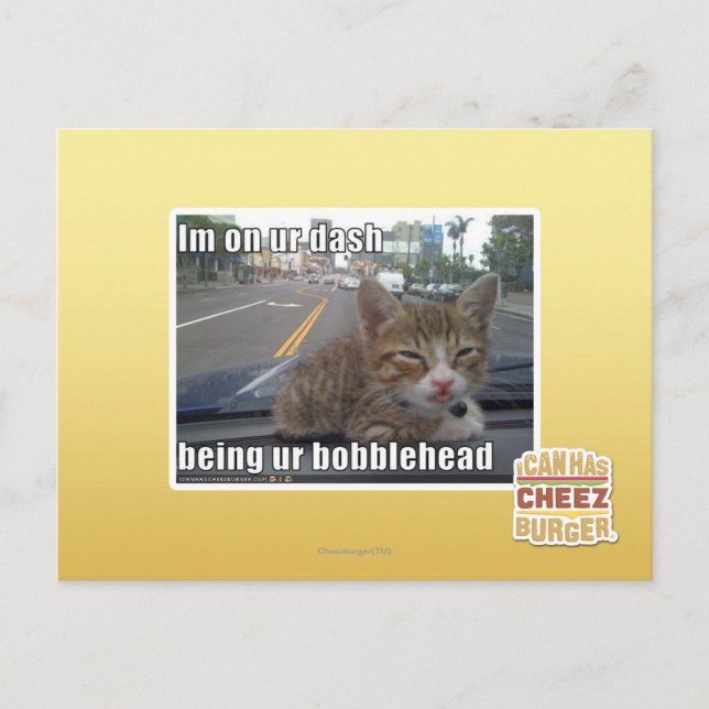 Im on ur dash postcard (Front)