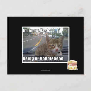 Im on ur dash postcard