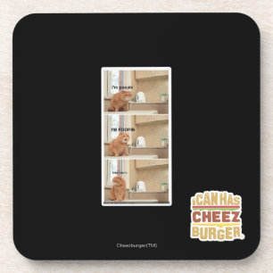 I'm poopin! coaster