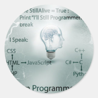 I'm Programmer Classic Round Sticker