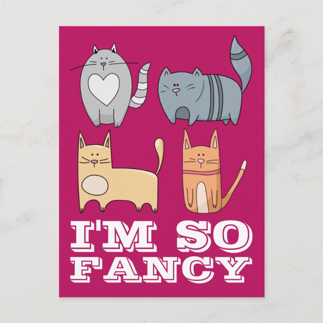 I'M SO FANCY KITTY CAT CATS POSTCARD (Front)