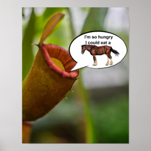 I'm so hungry I could eat a horse. Poster