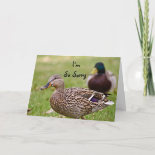 I'm So Sorry Duck Card