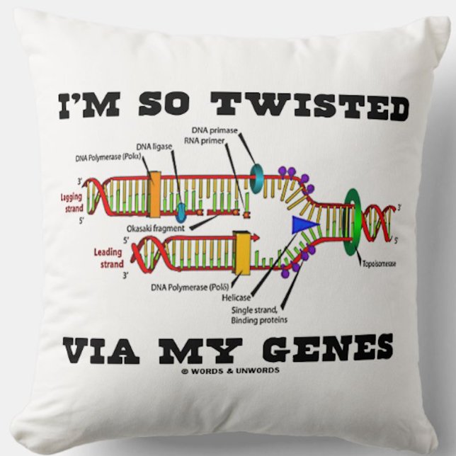 I'm So Twisted Via My Genes DNA Replication Humour Cushion (Throw pillow for any scientist featuring DNA replication & the saying "I'm So Twisted Via My Genes")