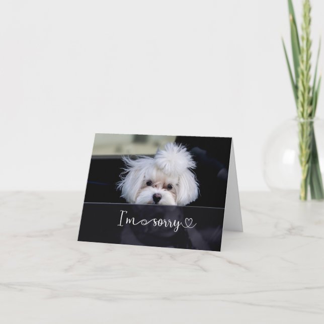 I'm Sorry Blank Card (Front)