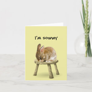 I'm Sorry Bunny Rabbit Card