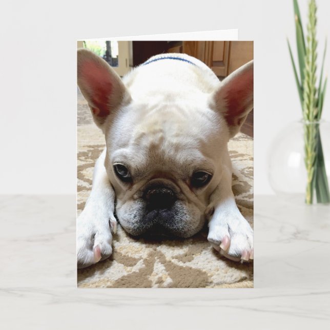 I'm sorry. card (Front)