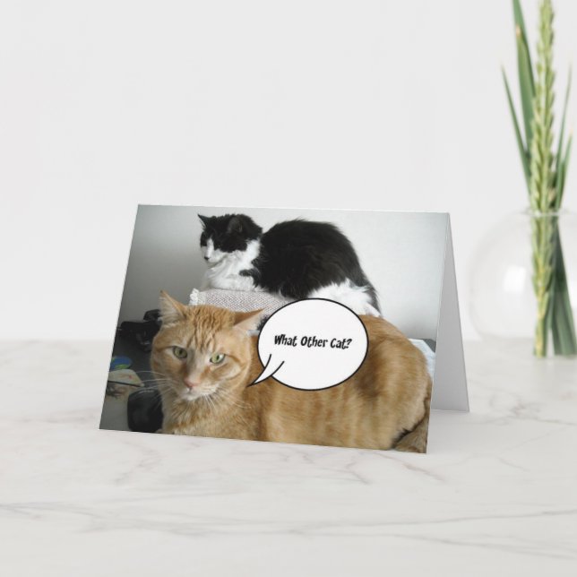 I'm Sorry Card (Front)