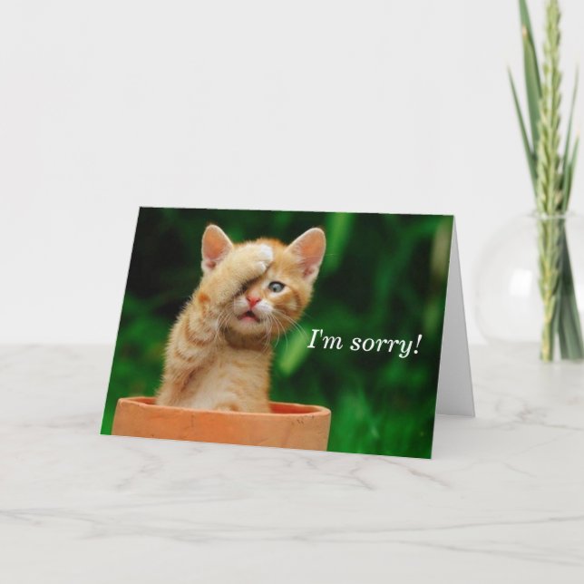 I'm sorry! card (Front)