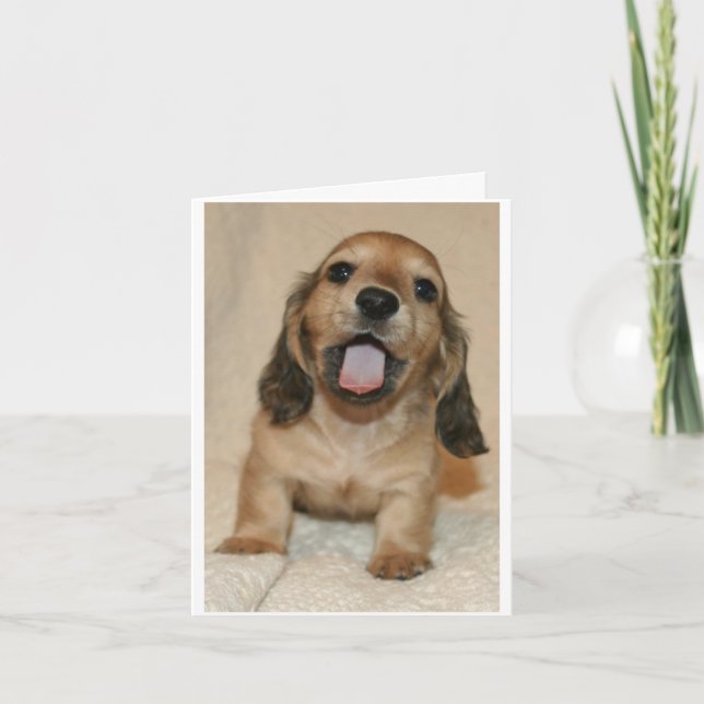 I'm sorry card (Front)