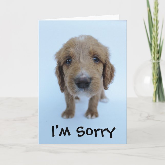 I'm sorry card (Front)