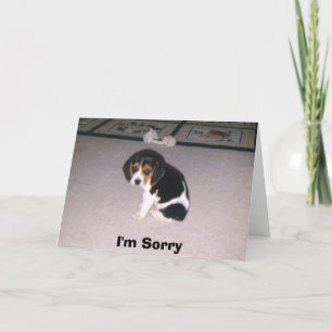 I'm Sorry Card