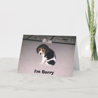 I'm Sorry Card