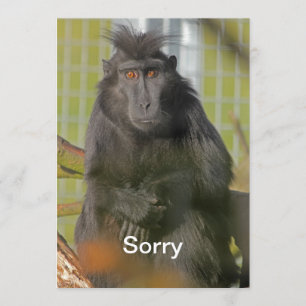 I'm sorry card