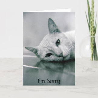 I'm Sorry Card