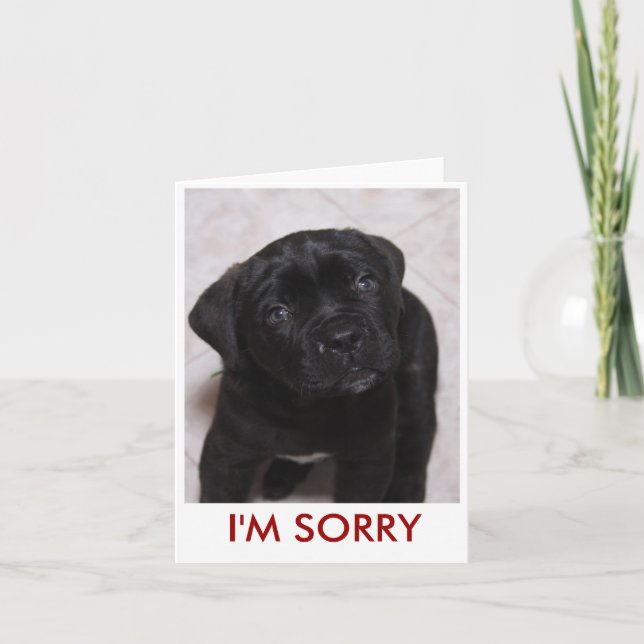 I'm sorry Card (Front)