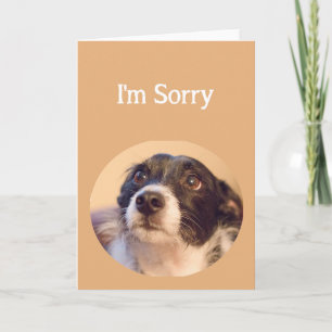 I'm Sorry Cute Repentant Dog Blank inside Card