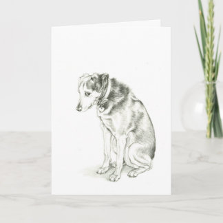 "I'm Sorry" Dixie card