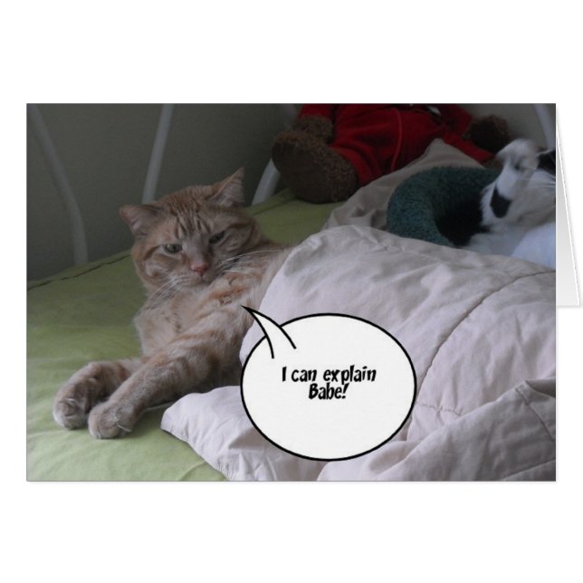 I'm Sorry Greeting (Front Horizontal)