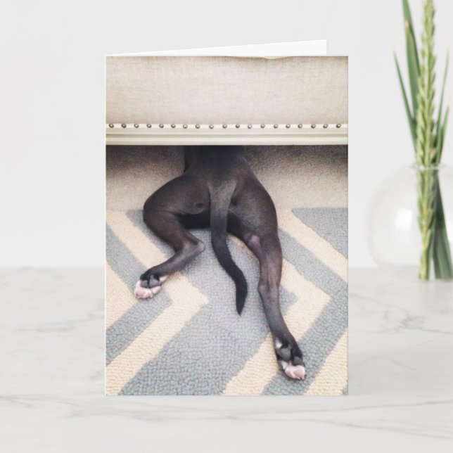 I'm sorry greeting card (Front)