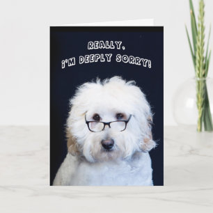 I'M SORRY - HUMOR W/DOG/BLACK-RIM GLASSES CARD
