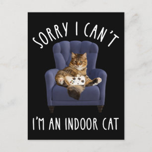 I'm Sorry I Can't - I'm An Indoor Cat Postcard