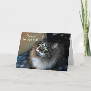 I'm Sorry Irresistible Cat Zorro Card