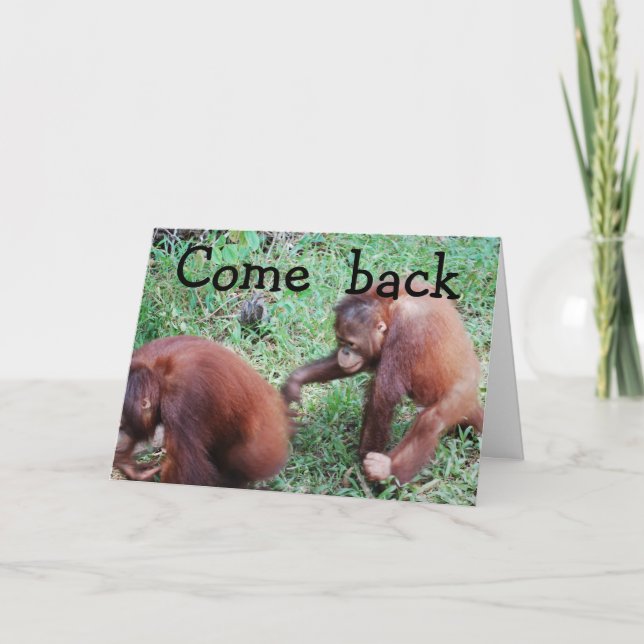 I'm Sorry: Let's Get Back Together Card (Front)