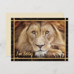 I'm Sorry Lion Photo Image Postcard