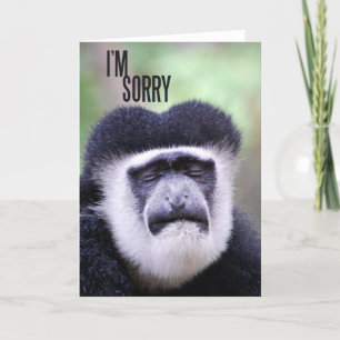I'm sorry Monkey Card