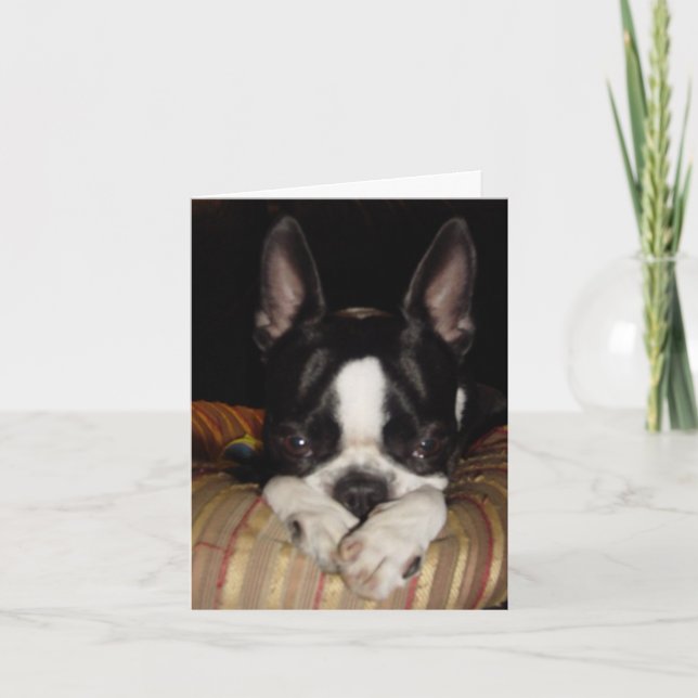 I'm sorry note card (Front)