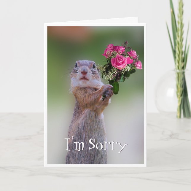 I'm Sorry Please Forgive Me Card (Front)