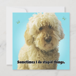 I'm Sorry, Sometimes I do stupid things Card
