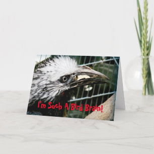 I'm Such A Bird Brain Funny Belated Birthday Card