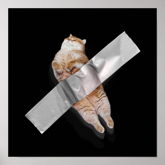 I'm the best banana! poster (Front)