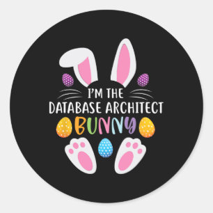 I'm The Databyse Architect Bunny Funny Easter Day  Classic Round Sticker