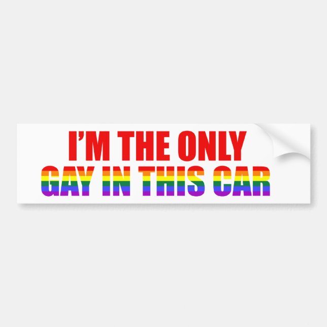 I'm The Only Gay In This Car LGBT Funny Humour Jok Bumper Sticker (Front)
