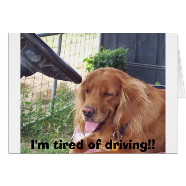 I'm tired of driving!! (Front Horizontal)