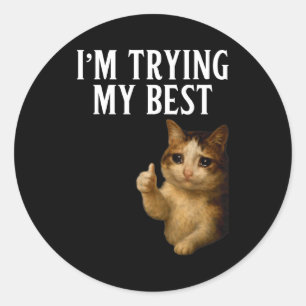 Im Trying My Best Funny Crying Cat Meme Men Women Classic Round Sticker