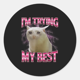 I'm Trying My Silly Crying Cat Meme Funny Cats Ani Classic Round Sticker