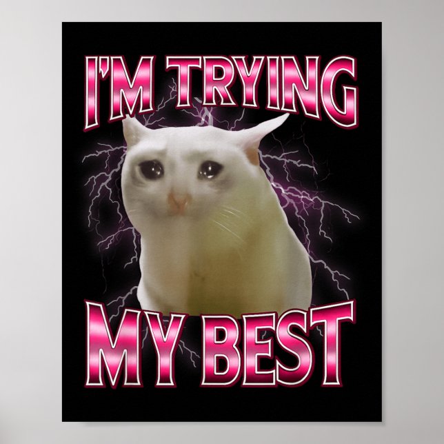 I'm Trying My Silly Crying Cat Meme Funny Cats Ani Poster (Front)