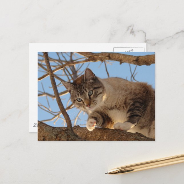 I'm Up Here Postcard (Front/Back In Situ)