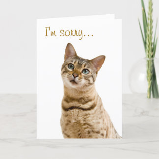 I'm very sorry, please forgive me card