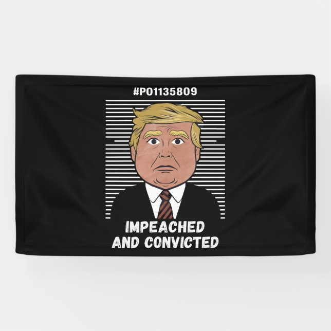 I'm Voting For The Convicted Felon Pro Trump 2024 Banner (Horizontal)