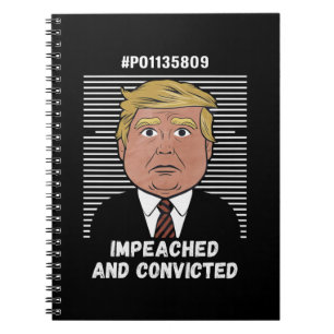 I'm Voting For The Convicted Felon Pro Trump 2024 Notebook